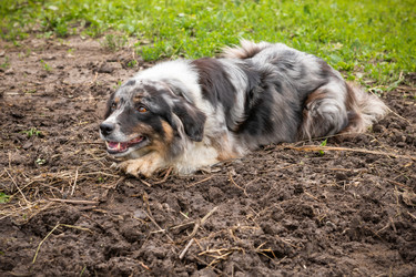 Similar image 22477690