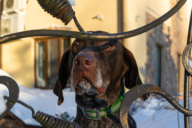 Similar image 22492324