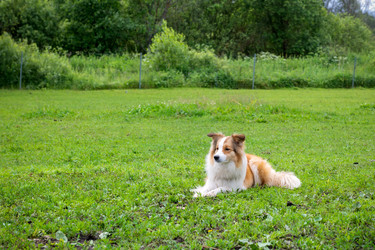 Similar image 22477692