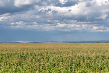 Similar image 22492328