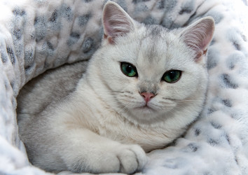 Similar image 22492330