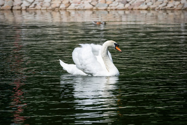 Similar image 22492331