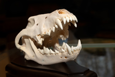 Similar image 22492332