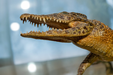 Similar image 22492333