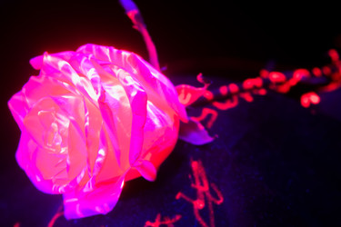 Similar image 22492335