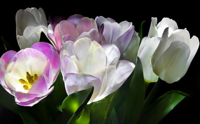 Similar image 22477703