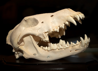 Similar image 22492336