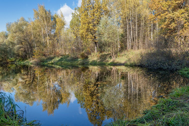 Similar image 22477704