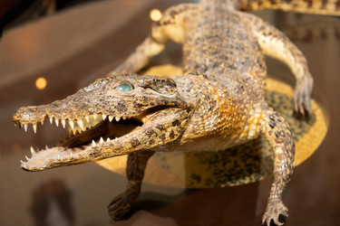 Similar image 22492339