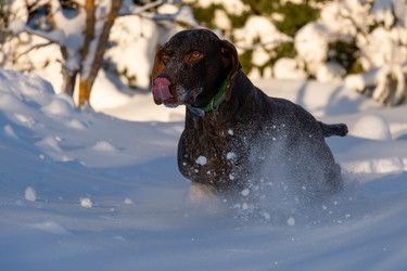 Similar image 22492340