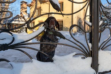 Similar image 22492343