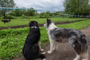 Similar image 22477707