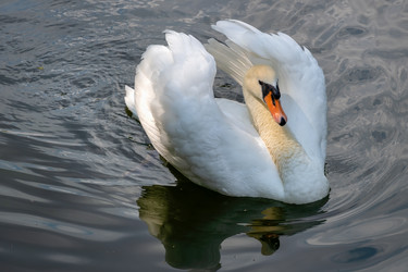 Similar image 22492348