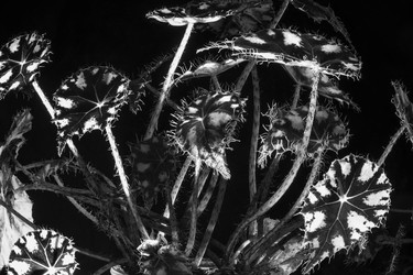 Similar image 22477709