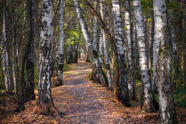 Similar image 22477710