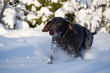 Similar image 22492364