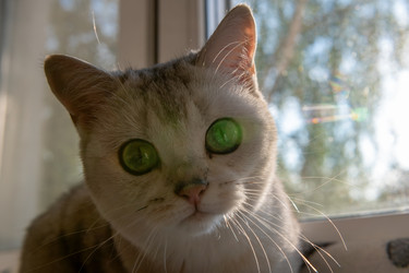 Similar image 22492174