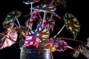 Similar image 22477518