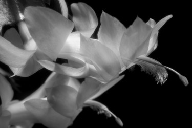 Similar image 22477519