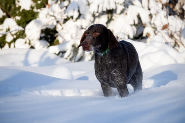 Similar image 22492175