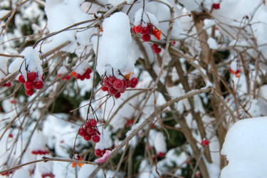 Similar image 22492176