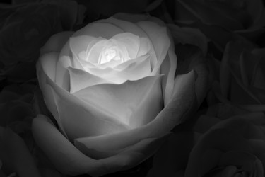 Similar image 22477522