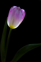 Similar image 22477523