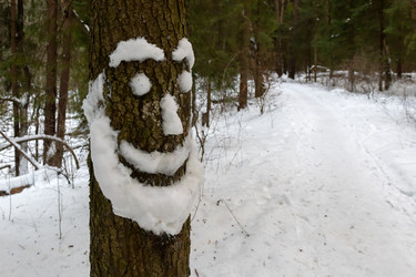 Similar image 22477524