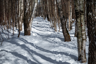 Similar image 22477525