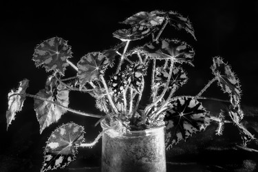 Similar image 22477527