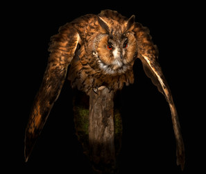 Similar image 22492177