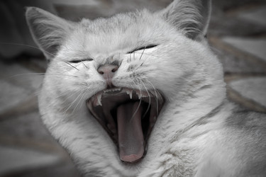 Similar image 22492178