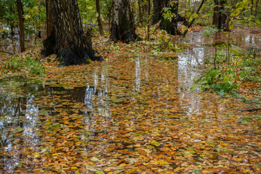 Similar image 22477528