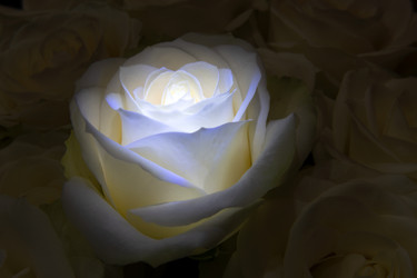 Similar image 22477529