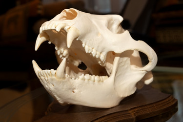 Similar image 22477531