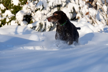 Similar image 22492183