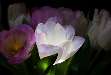 Similar image 22477536