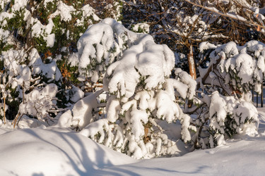 Similar image 22492184