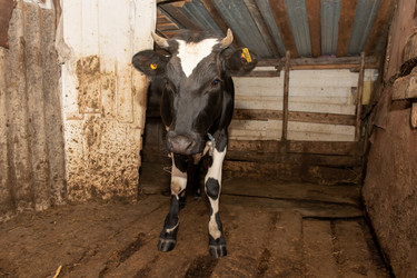 Similar image 22492185