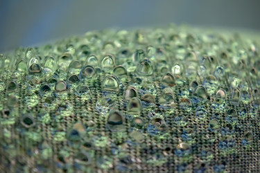 Similar image 22477537