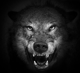 Similar image 22477539