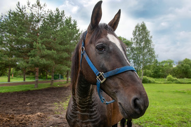 Similar image 22477542