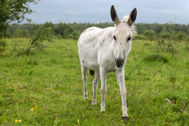 Similar image 22477543