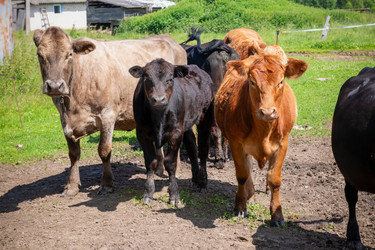 Similar image 22477544