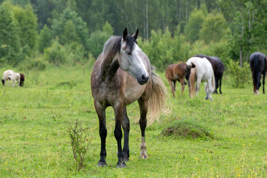 Similar image 22477545