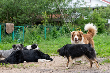 Similar image 22477546