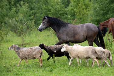 Similar image 22477548