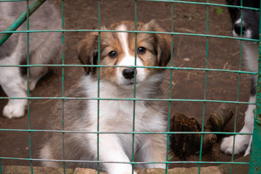 Similar image 22477550