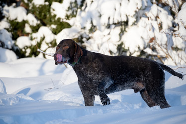 Similar image 22477551