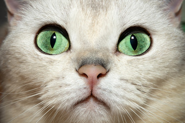 Similar image 22492193